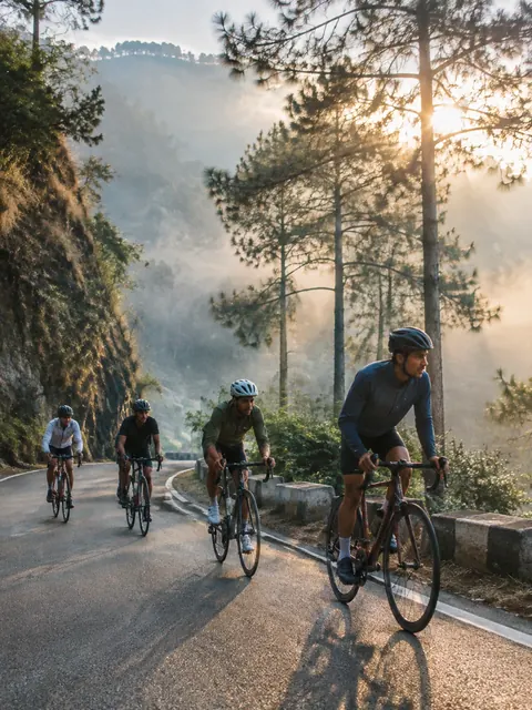 Four cyclists riding up a misty hill road through pine trees in the morning.